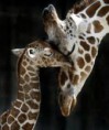 /album/fenykepgaleria/images-8-jpg/